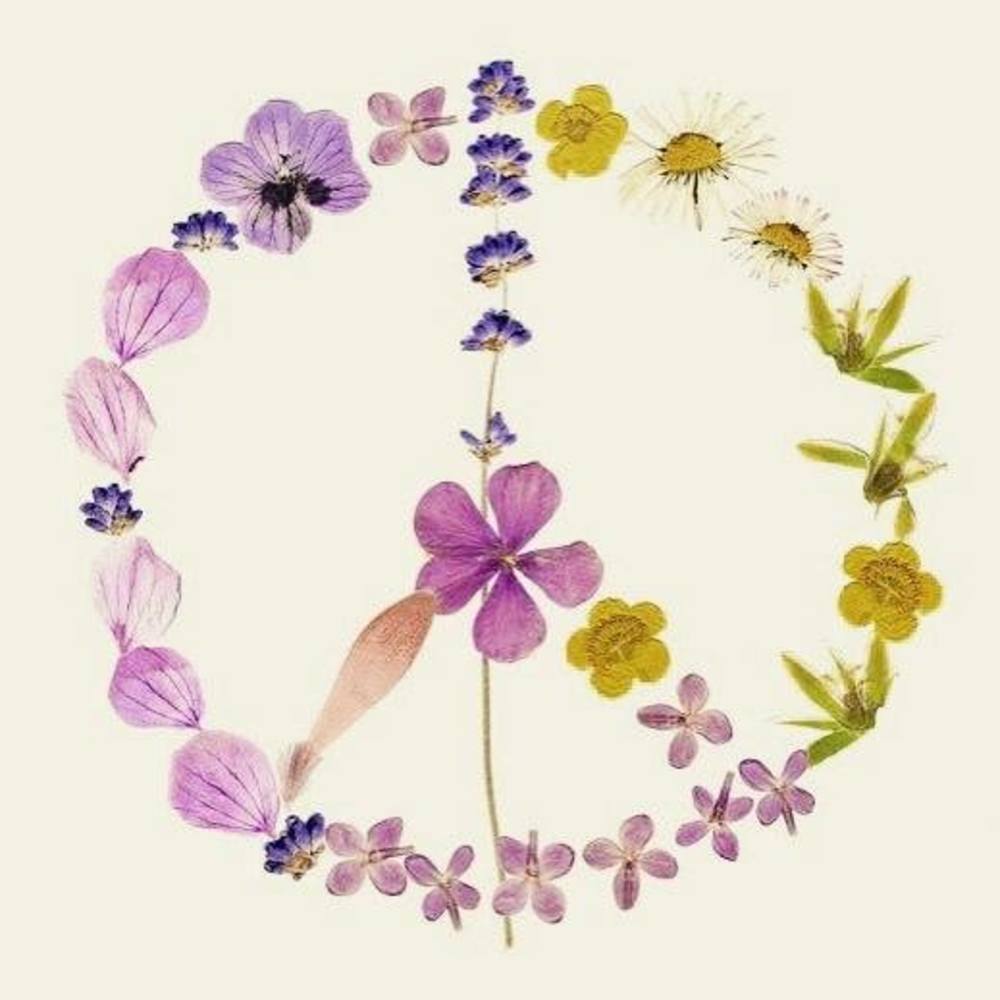 Meet your Posher, Jen